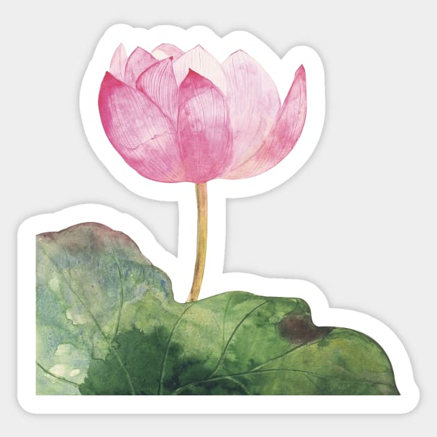 Lotus flower watercolor Sticker by emiliapapaya